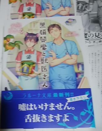 激レア/ IC+SS+帯付「黒猫閻魔と獣医さん」安曇ひかる/猫柳ゆめこ拍卖