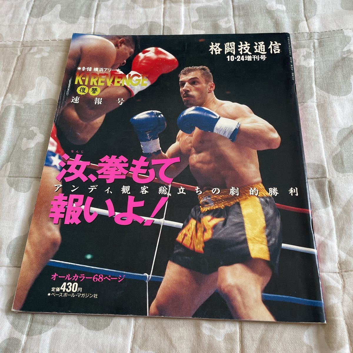 格闘技通信 平成6年10月24日増刊号 9.18横浜アリーナK-1リベンジ速報号 アンディフグ 佐竹雅昭 パトリックスミス 金泰泳 佐竹雅昭 他拍卖