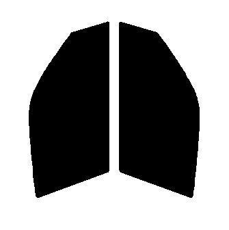 スパッタゴールド60 運転席・助手席 ハイエース グランドキャビン TRH224W TRH229W カット済みカーフィルム拍卖