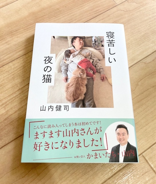 ★即決★送料120円~★ 寝苦しい夜の猫 山内健司 かまいたち 拍卖