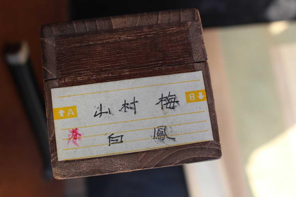 掛軸 白鳳 共箱 掛け軸 書 曼荼羅 仏画 長期保管品 現状品 昭和 レトロ 箱付き 骨董品 当時 骨董 山村 梅 遺品整理 売切り 中古 画伯拍卖