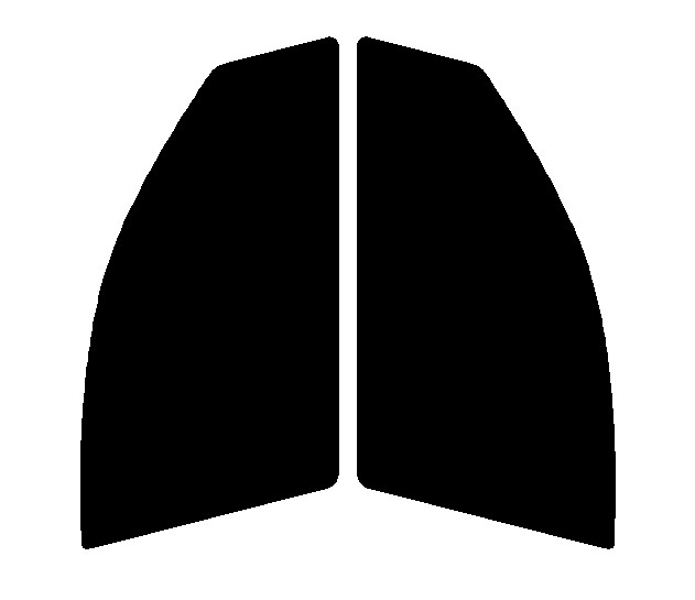 スモーク 26% 2層構造フィルム 運転席・助手席 アウディ Q3 8U カット済みカーフィルム 拍卖