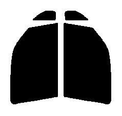 断熱クリアー 運転席、助手席 ワゴンR ソリオ MA34S・MA64S カット済みフィルム拍卖