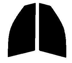 断熱クリアー 運転席、助手席 ビーゴ J200G・J210G カット済みフィルム拍卖