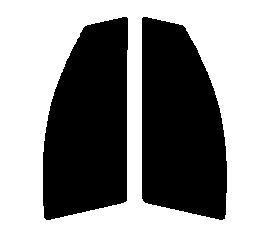 ライトスモーク 50% 運転席、助手席 プレオ 5ドア L275 L285 カット済みフィルム拍卖