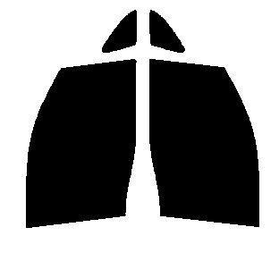 ラグジーブルー 60% 運転席、助手席 ランディ SC25 カット済みフィルム拍卖