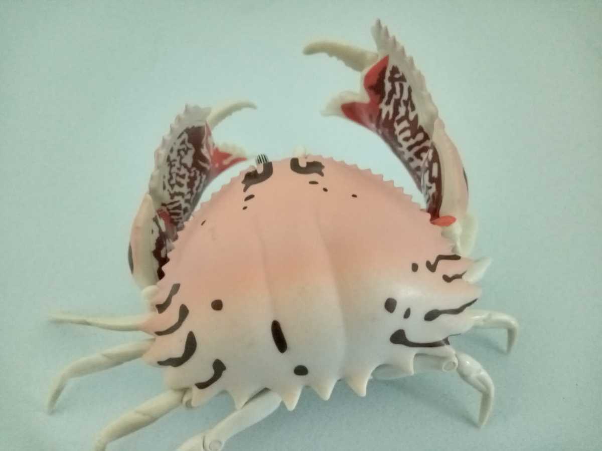 生き物語大図鑑 カニ メガネカラッパ拍卖