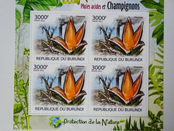 ブルンジ切手『きのこ』2012 市場価格1500円 C-a拍卖