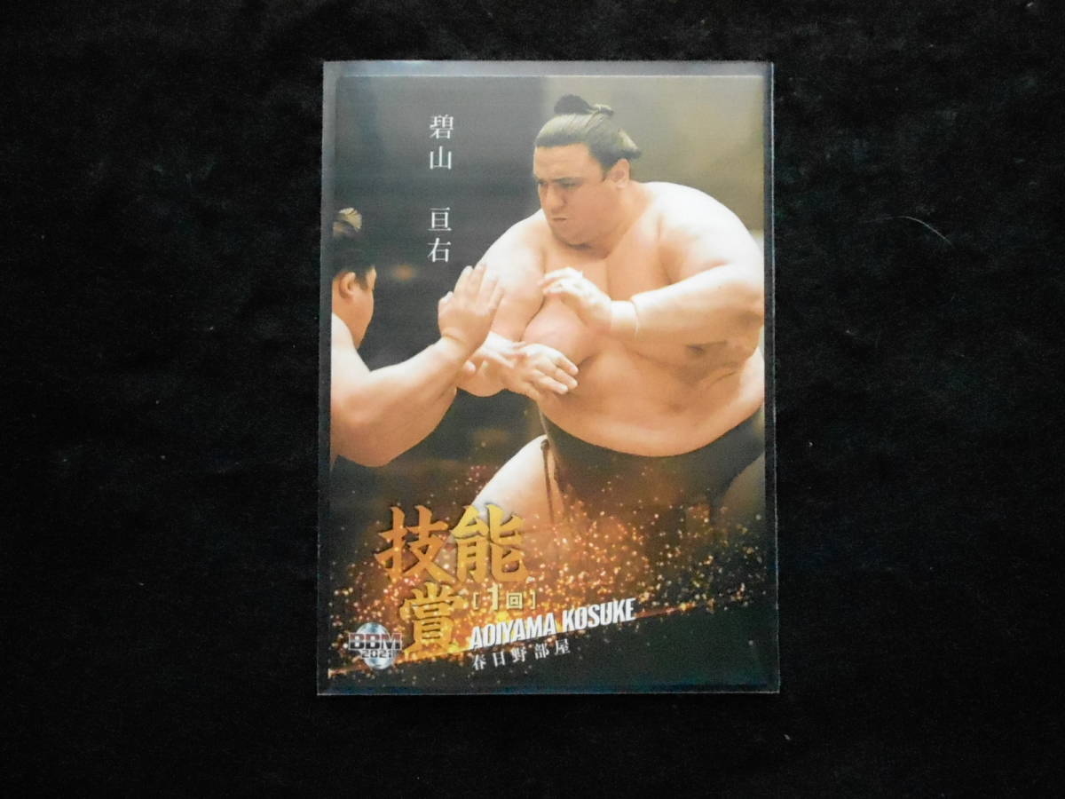 BBM 2021 大相撲カード匠 碧山 技能賞拍卖