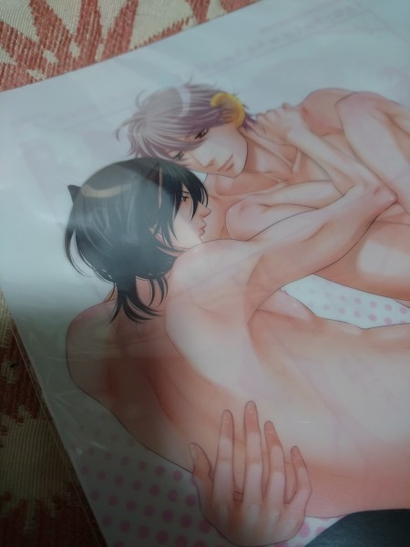 非売品★BL左京亜也「クロネコ彼氏の愛し方②」B5両面イラスト&描き下ろしコミック クリアファイル コミコミスタジオ拍卖