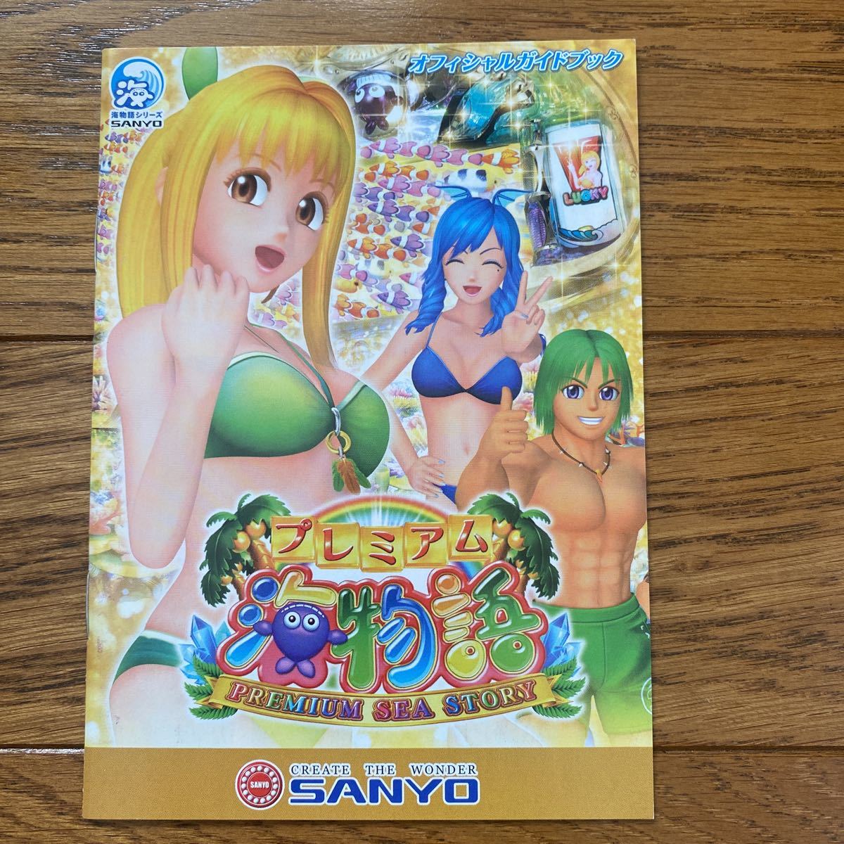 パチンコ小冊子 プレミアム海物語拍卖