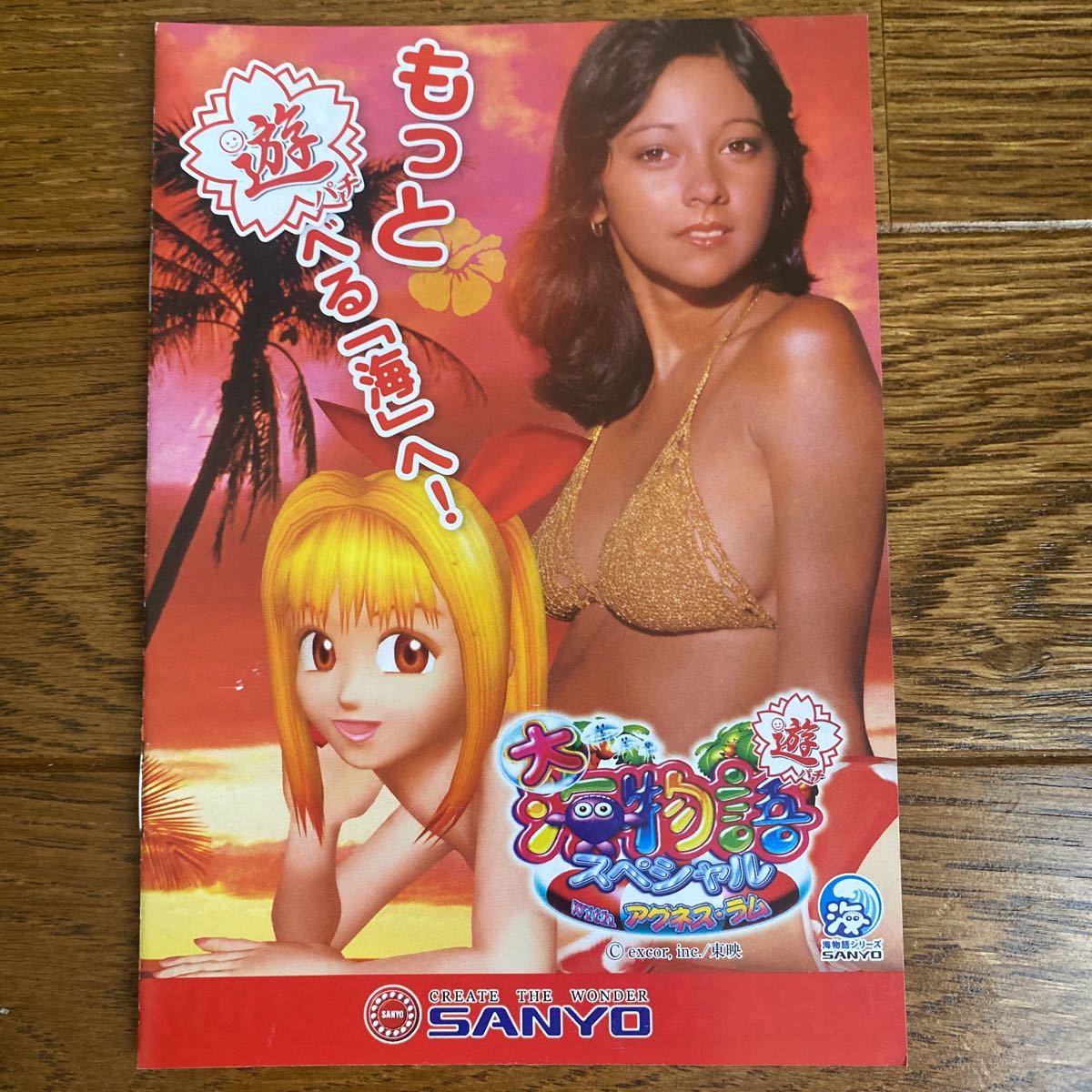 パチンコ小冊子 大海物語 スペシャル アグネス拍卖