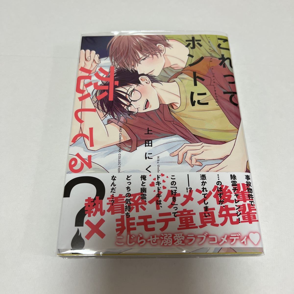 BL 3744 これってホントに恋してる?…上田にく拍卖