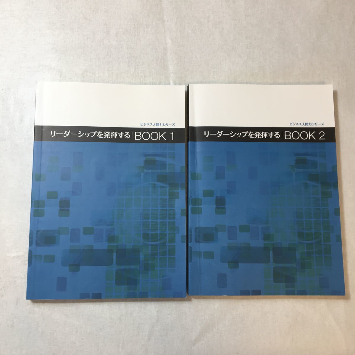 zaa-370♪微自然人間力シリーズリーダーシップを発揮する『BOOK1』『BOOK2』2冊セット 国際文化カレッジ拍卖