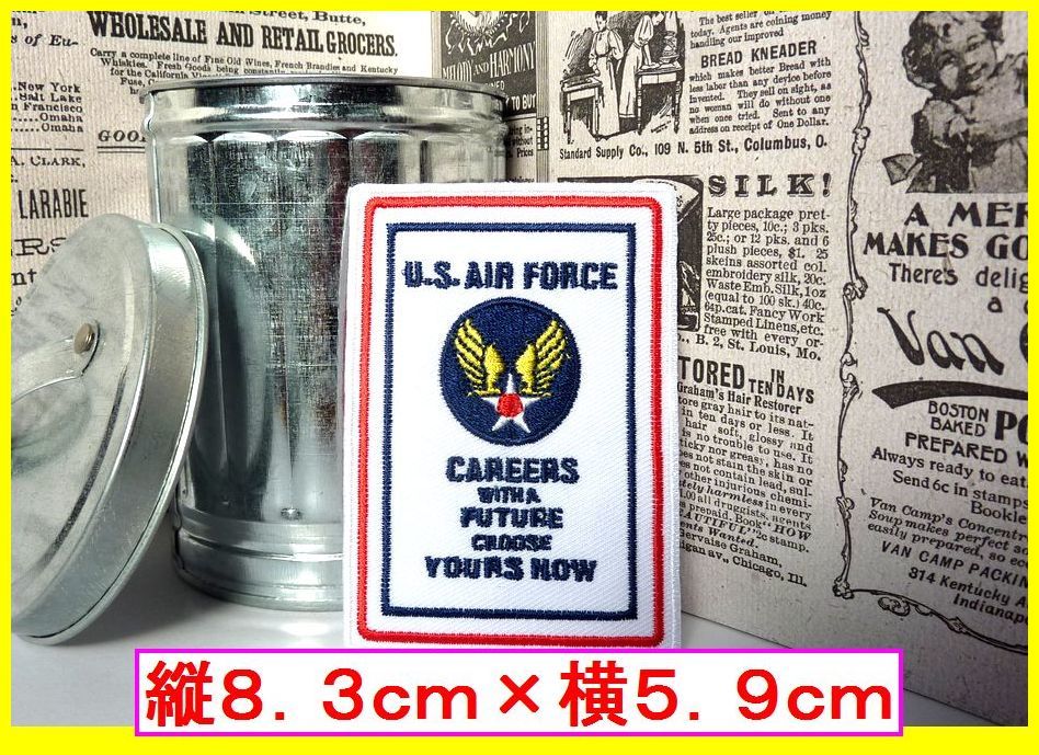 アイロン 接着 刺繍 ワッペン!US エアフォース 縦型! ワンポイント 雑貨 アメ雑 アメリカ雑貨 空軍 デルタ 軍物拍卖