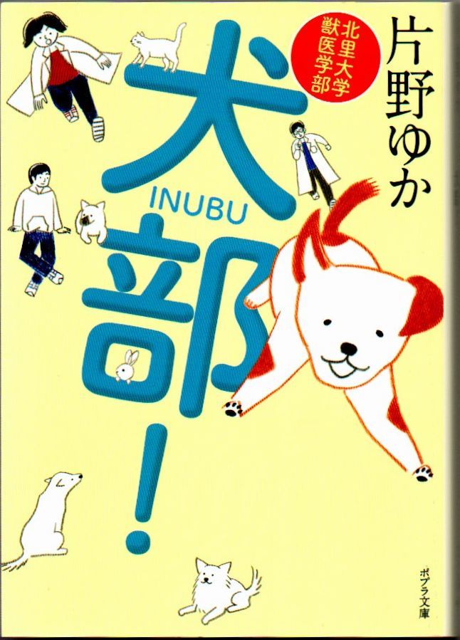 106* 北里大学獣医学部 犬部! 片野ゆか ポプラ文庫拍卖