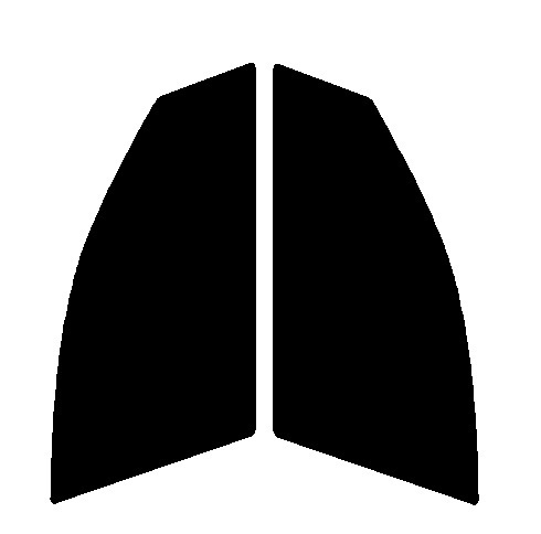 ライトスモーク 50% 運転席、助手席 アウディ A4アバント 8K カット済みフィルム拍卖