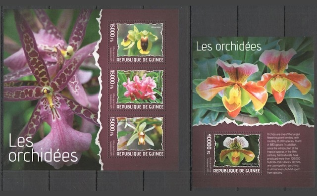 「BRD51」ギニア切手 2014年 花拍卖