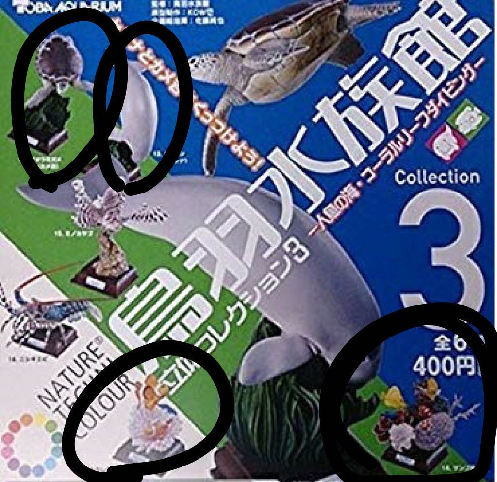 【新品】ネイチャーテクニカラー 鳥羽水族館立体コレクション3 ジュゴン サンゴ礁の海 アオウミガメ カクレクマノミ 4種セット ガチャ拍卖