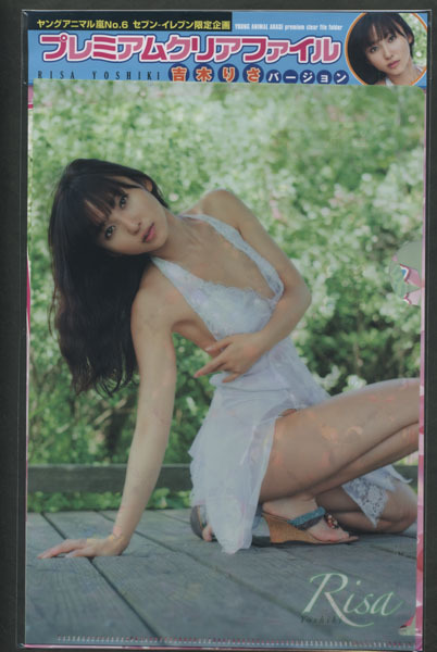 ヤングアニマル嵐 2013年06号コンビニ限定 吉木りさ クリアファイル拍卖