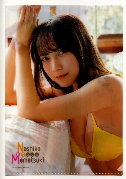 ヤングアニマル 2021年04号付録 桃月なしこ クリアファイル拍卖