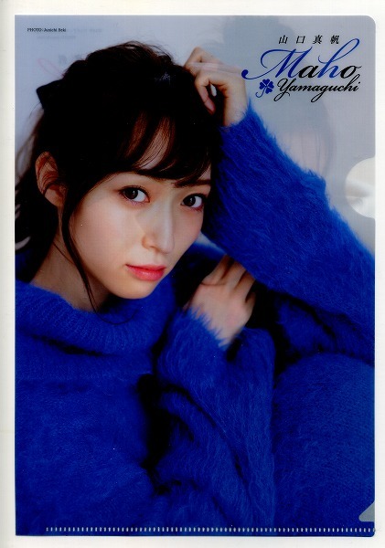 ヤングアニマル 2019年22号付録 山口真帆 クリアファイル拍卖