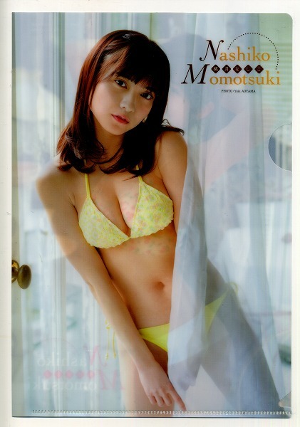 ヤングアニマル 2020年05号付録 桃月なしこ クリアファイル拍卖