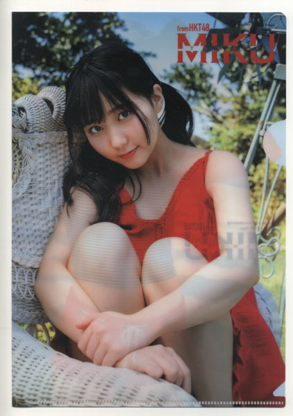 ヤングアニマル 2018年18号付録 田中美久 クリアファイル拍卖