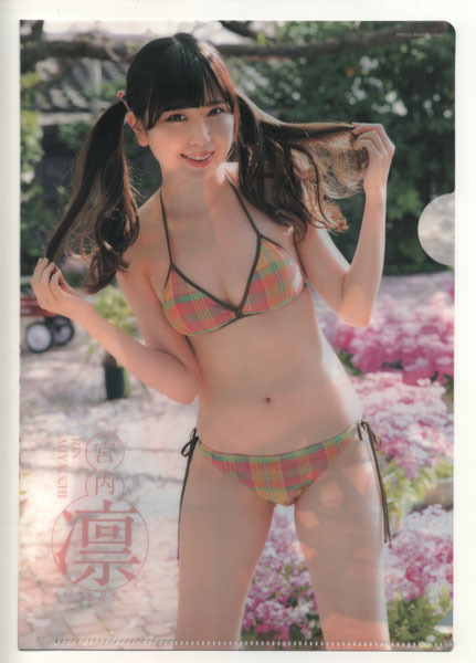 ヤングアニマル嵐 2018年06号付録 宮内凛 クリアファイル拍卖