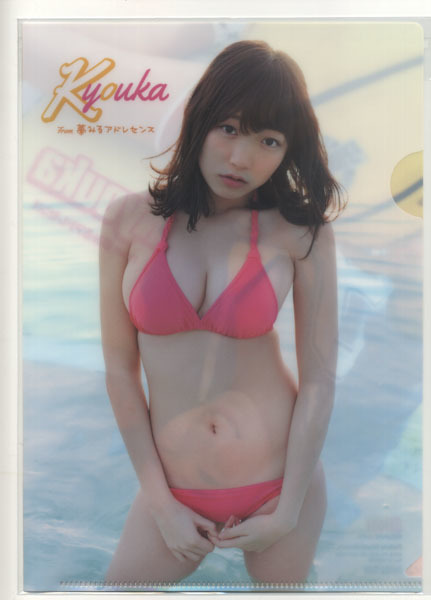 ヤングガンガン 2016年12号付録 京佳 クリアファイル拍卖