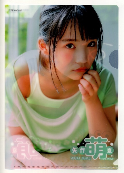 ヤングアニマル 2019年13号付録 矢作萌夏 クリアファイル拍卖