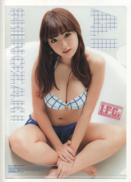 ヤングチャンピオン烈 2014年05号付録 篠崎愛 ファイル拍卖