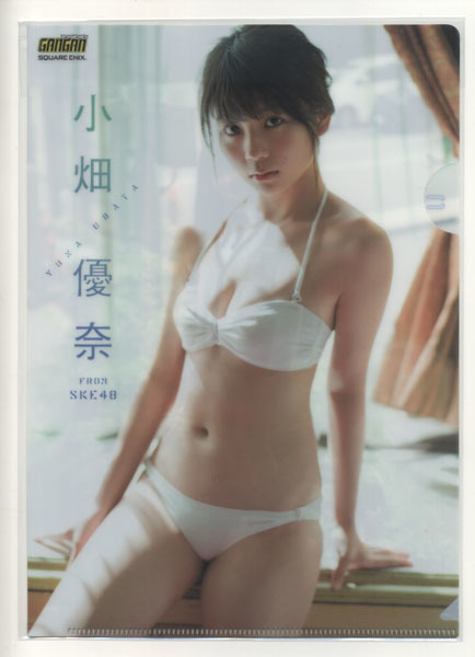 ヤングガンガン 2017年22号付録 小畑優奈 クリアファイル拍卖