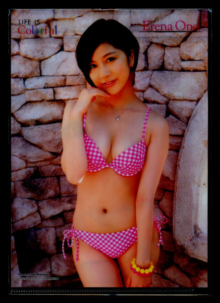 ヤングアニマル 2012年20号付録 小野恵令奈 クリアファイル拍卖