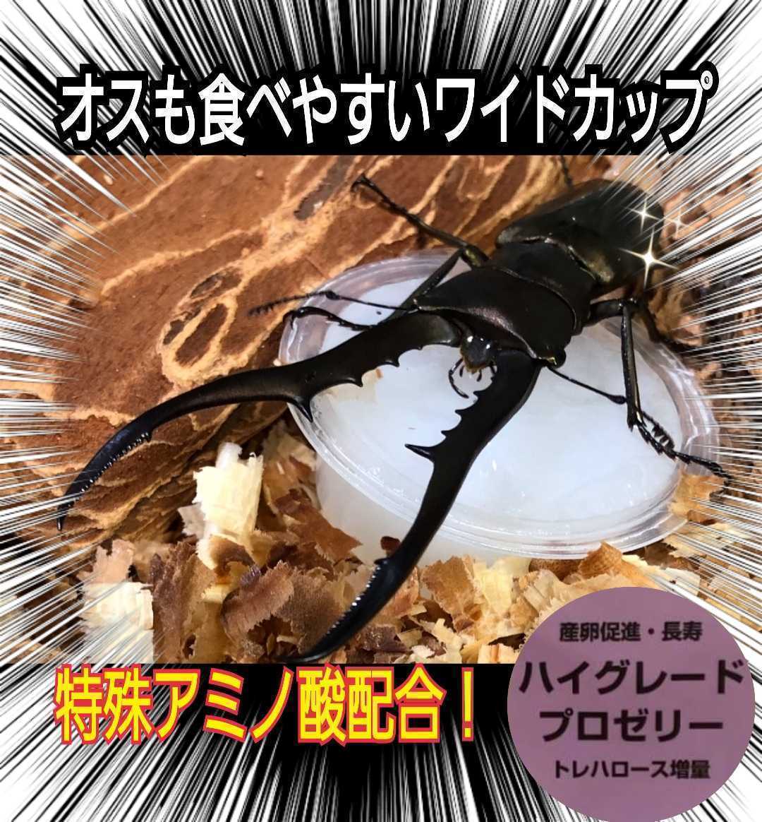 特選ハイグレードプロゼリー【200個】特殊アミノ酸強化配合!産卵促進・長寿・体力増進に抜群☆オスも食べやすいワイドカップ☆昆虫ゼリー拍卖