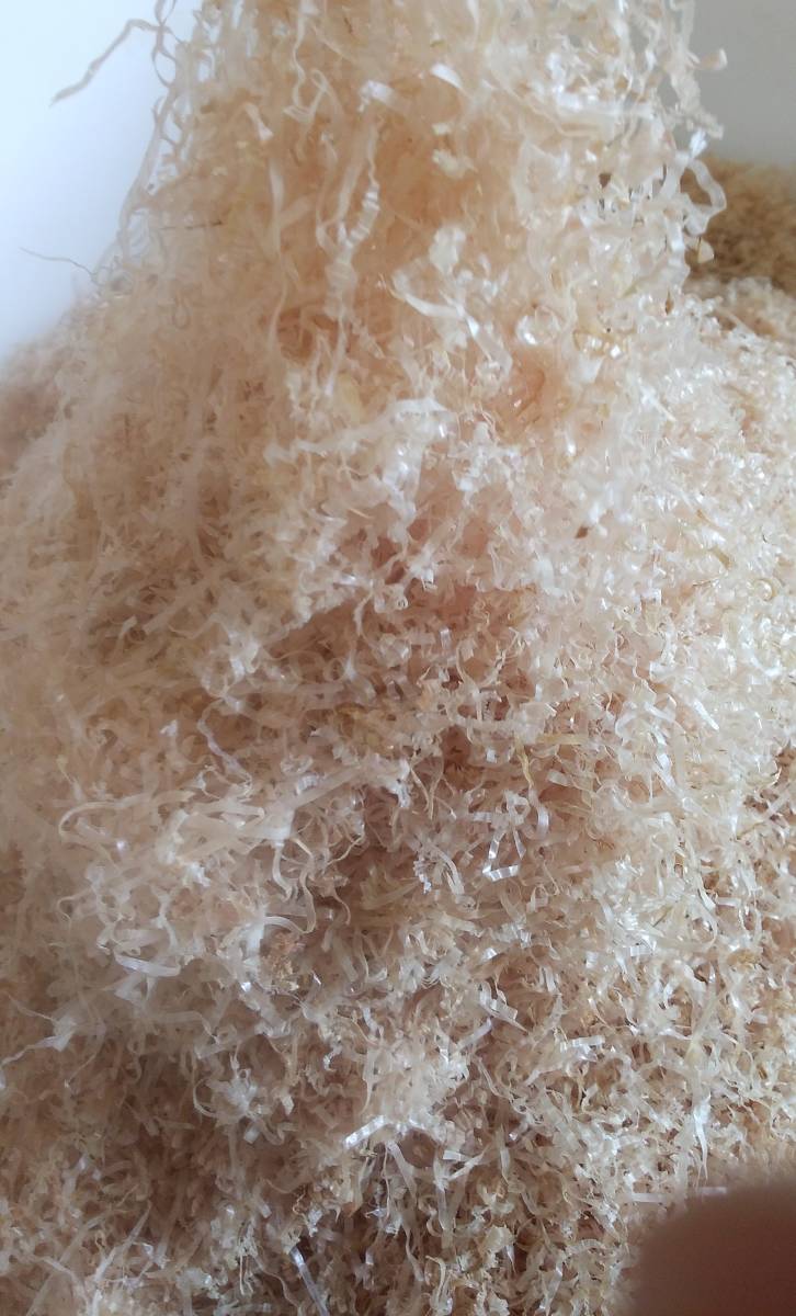 300g入 血合抜き糸削り 枕崎産荒本鰹節血合抜き原料拍卖