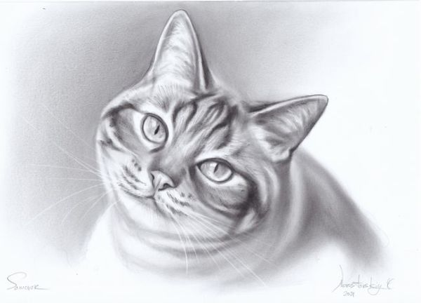 ☆☆☆ドライブラシ油彩画 満足げな優しい猫顔が魅力  「まったり」拍卖