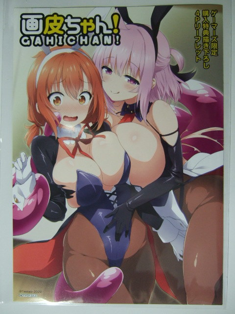 ゲーマーズ 限定 画皮ちゃん! 2巻 描き下ろし漫画 4Pブックレット 220910 特典 GAMERS 非売品 ちろたた イラストカード ポストカード拍卖
