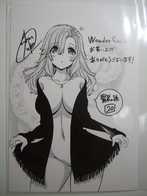 ワンダーグー 限定 賢者の孫 20巻 ポストカード 特典 WonderGOO 非売品 220909 緒方俊輔 イラストカード イラストペーパー ミニ色紙拍卖