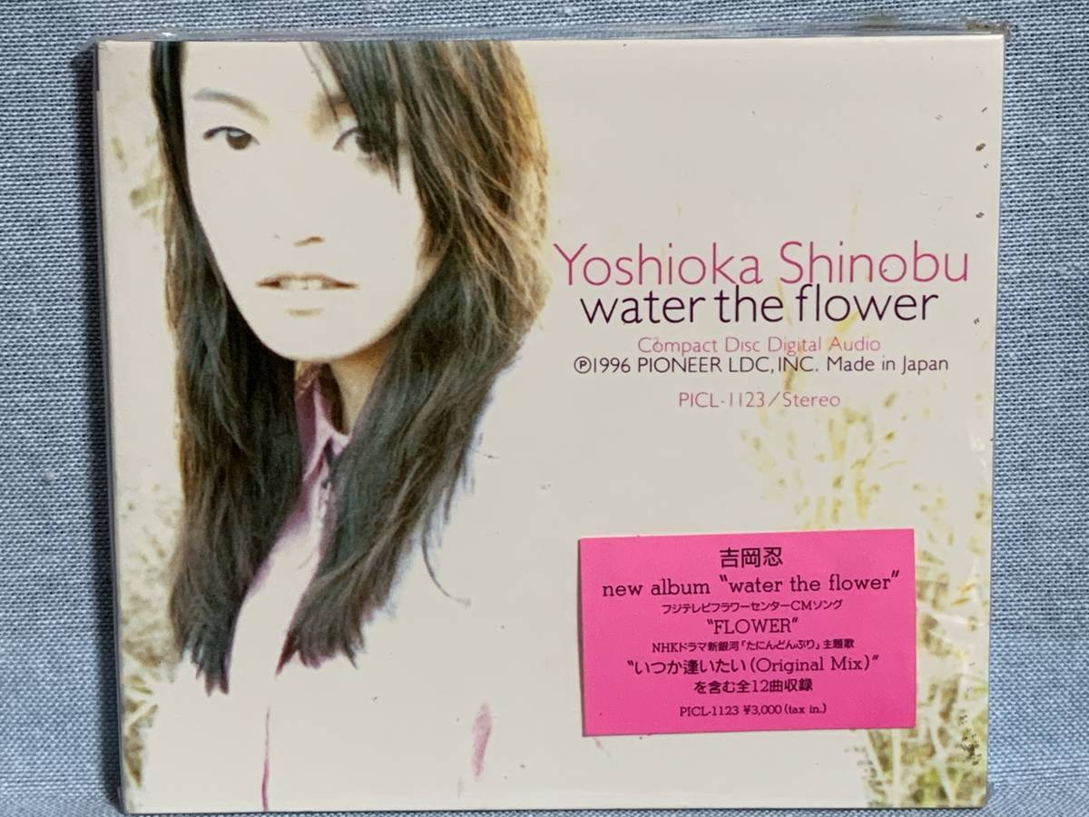 CD 吉岡忍 / water the flower ★新品未開封拍卖