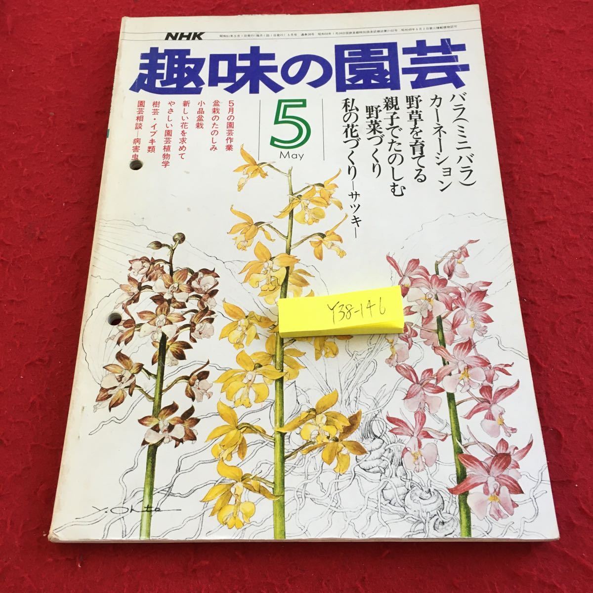 Y38-146 NHK 趣味の園芸 5月 バラ(ミニバラ)カーネーション 野草を育てる 親子でたのしむ 野菜づくり 私の花づくり サツキ 昭和51年発行拍卖