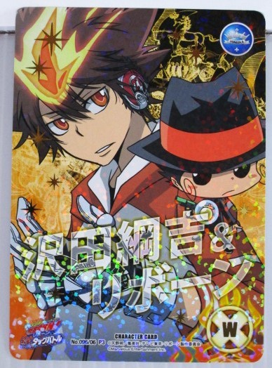 【カードのみ】 REBORN リボーン CCG PSP 絆のタッグバトル 予約特典 沢田綱吉 & リボーン 096/06 P3 ツナ 未使用 家庭教師ヒットマン拍卖