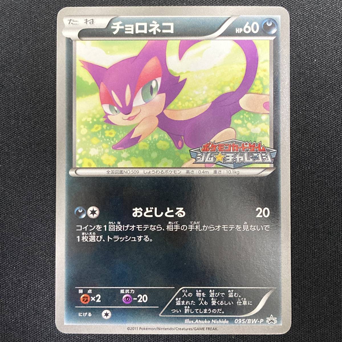 Purrloin 095/BW-P Gym Challenge Promo Pokemon Card Japanese ポケモン カード チョロネコ ポケカ 220117拍卖