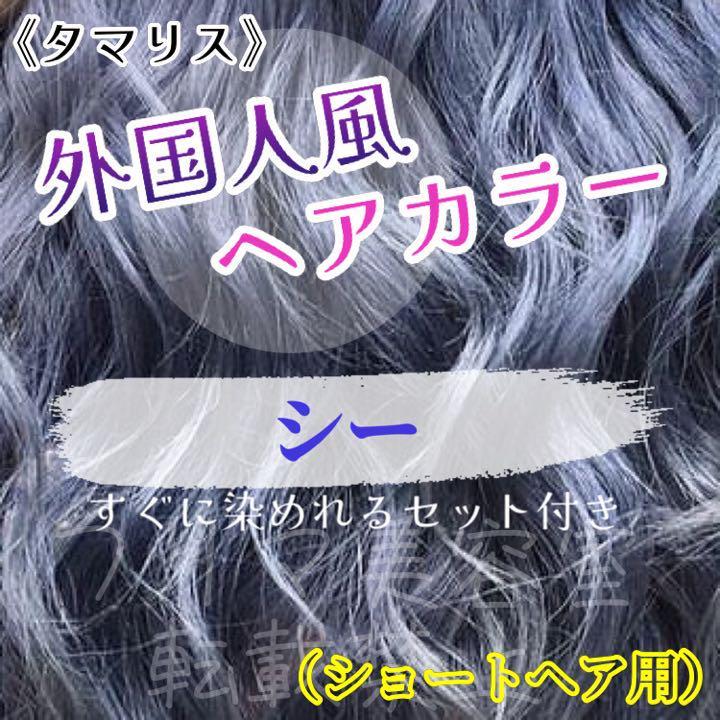 タマリス すぐに染めれる ヘアカラー セット sea 10 トリートメント付属割あり拍卖