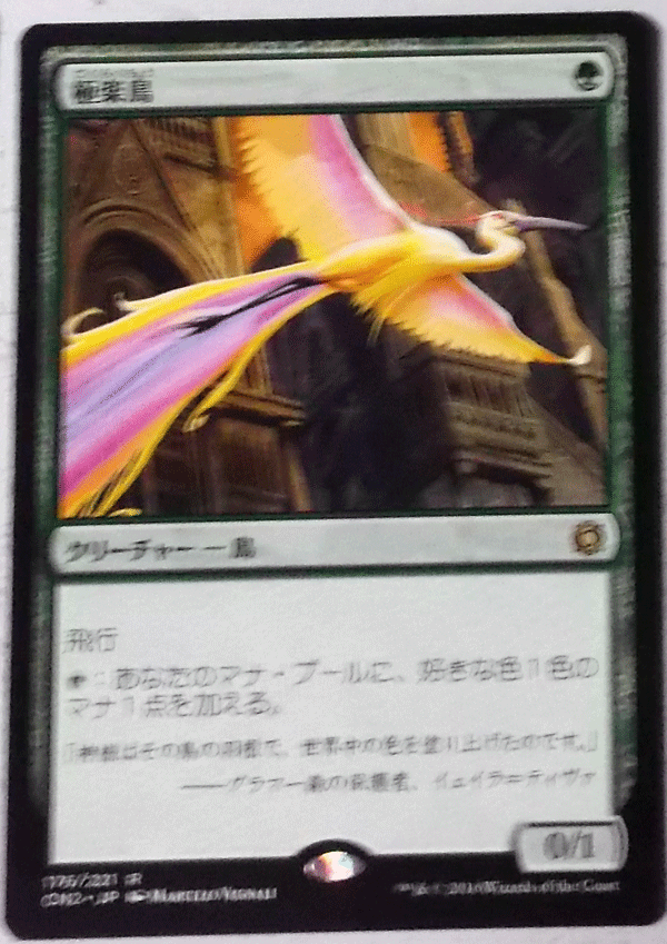 MTG/日本語/極楽鳥/コンスピラシー:王位争奪/レア拍卖
