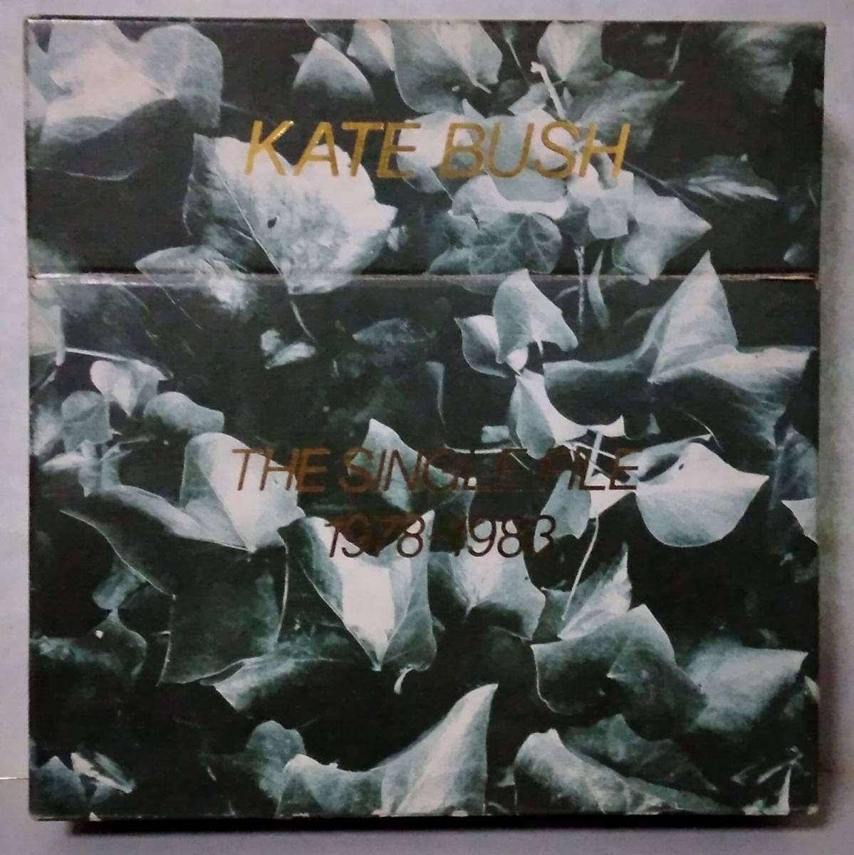 ★ボックスセット★ ケイト・ブッシュ『 THE SINGLE FILE 1978~1983 』KATE BUSH 送料無料★拍卖