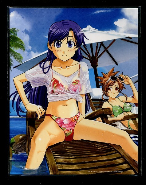 ヤングアニマルあいらんど no.14付録 海の御先 かけ替えカバー 文月晃拍卖