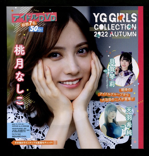 ヤングガンガン 2022年19号付録 DVD 桃月なしこ 貝賀琴莉 天羽希純拍卖