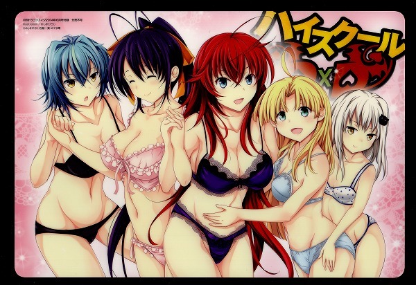 ドラゴンエイジ 2014年06月号付録 ハイスクールD×D 下敷き拍卖