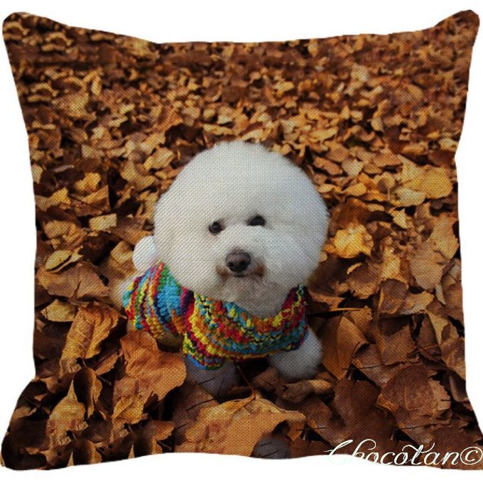 【送料無料】ビションフリーゼ ⑫ クッションカバー【新品】拍卖